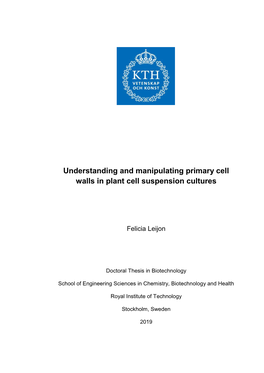 Understanding and Manipulating Primary Cell Walls in Plant Cell Suspension Cultures