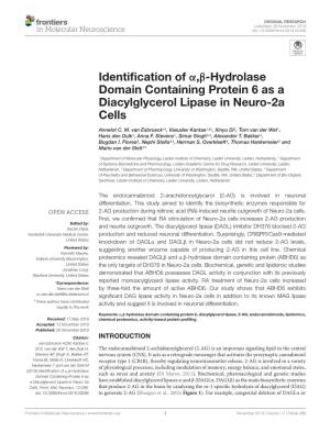 Identification of Α,Β-Hydrolase Domain Containing Protein 6 As a Diacylglycerol Lipase in Neuro-2A Cells