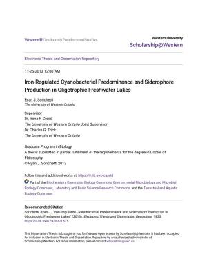 Iron-Regulated Cyanobacterial Predominance and Siderophore Production in Oligotrophic Freshwater Lakes