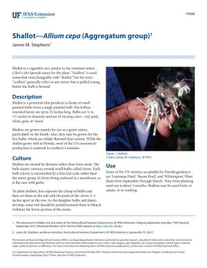 Shallot—Allium Cepa (Aggregatum Group)1 James M