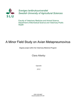 A Minor Field Study on Avian Metapneumovirus