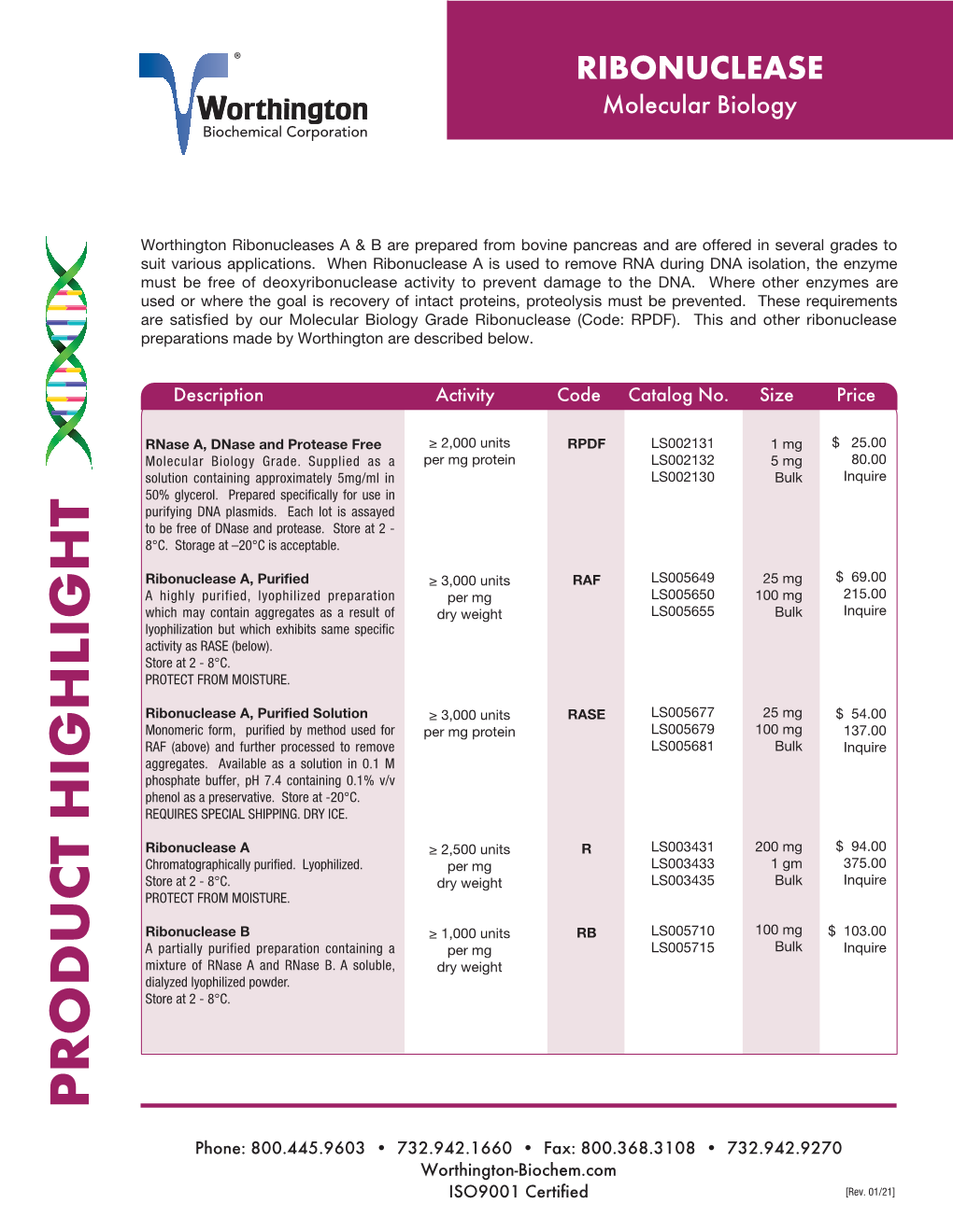 RIBONUCLEASE Molecular Biology