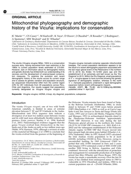 Mitochondrial Phylogeography and Demographic History of the Vicun˜A: Implications for Conservation