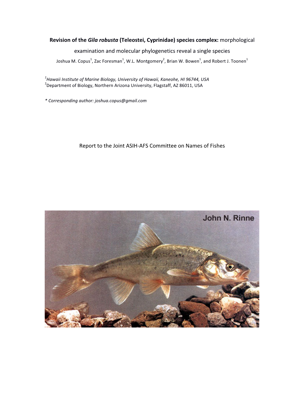 Revision of the Gila Robusta (Teleostei, Cyprinidae) Species Complex: Morphological Examination and Molecular Phylogenetics Reveal a Single Species Joshua M