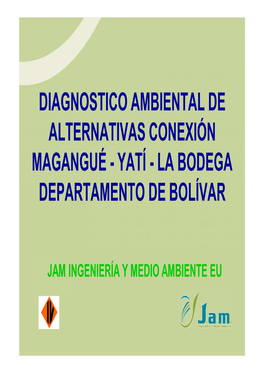 Diagnóstico Ambiental Alternativas Interconexión Magangué