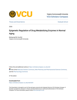 Epigenetic Regulation of Drug Metabolizing Enzymes in Normal Aging