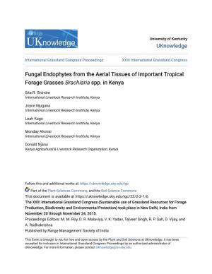 Fungal Endophytes from the Aerial Tissues of Important Tropical Forage Grasses Brachiaria Spp