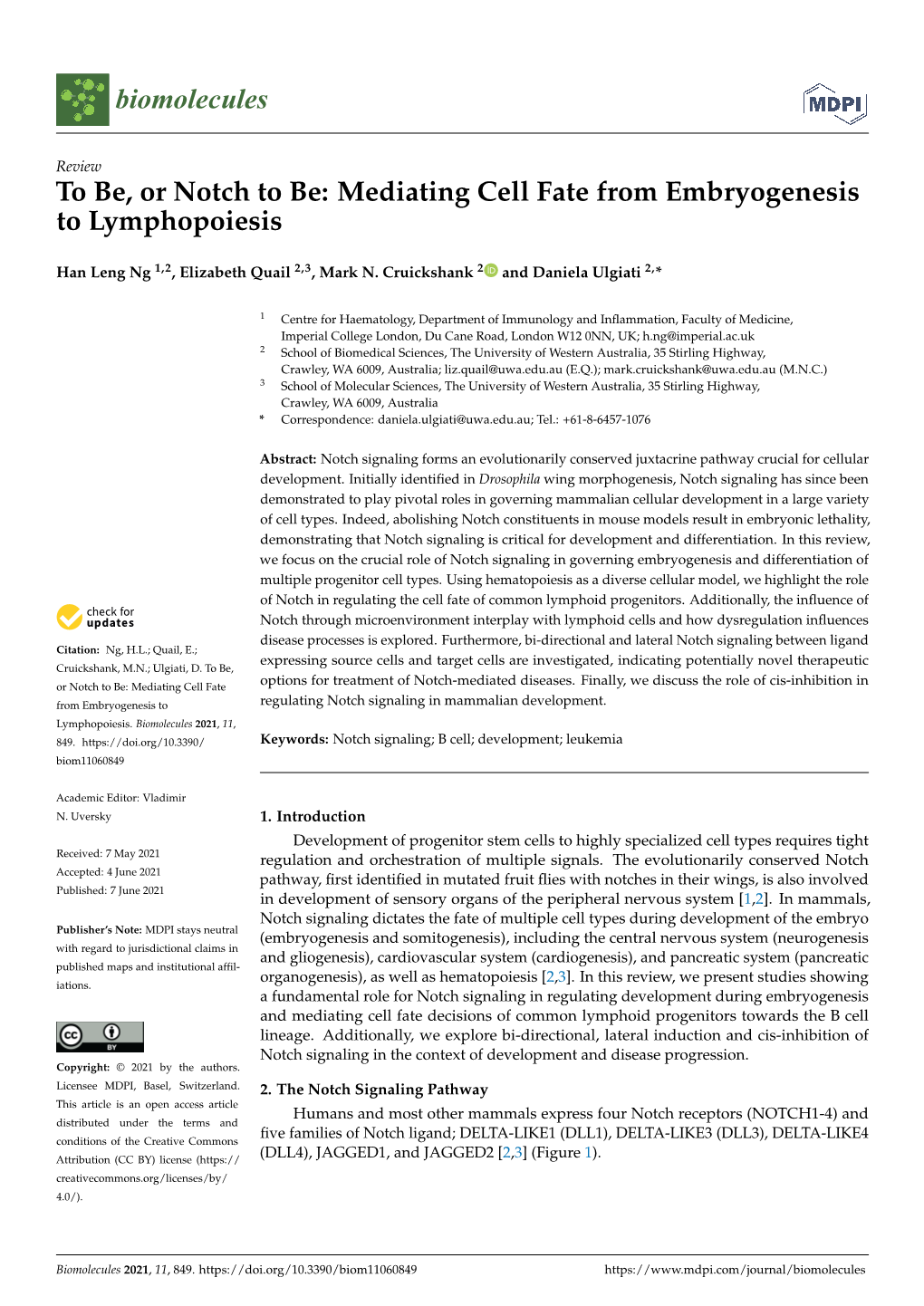 To Be, Or Notch to Be: Mediating Cell Fate from Embryogenesis to Lymphopoiesis