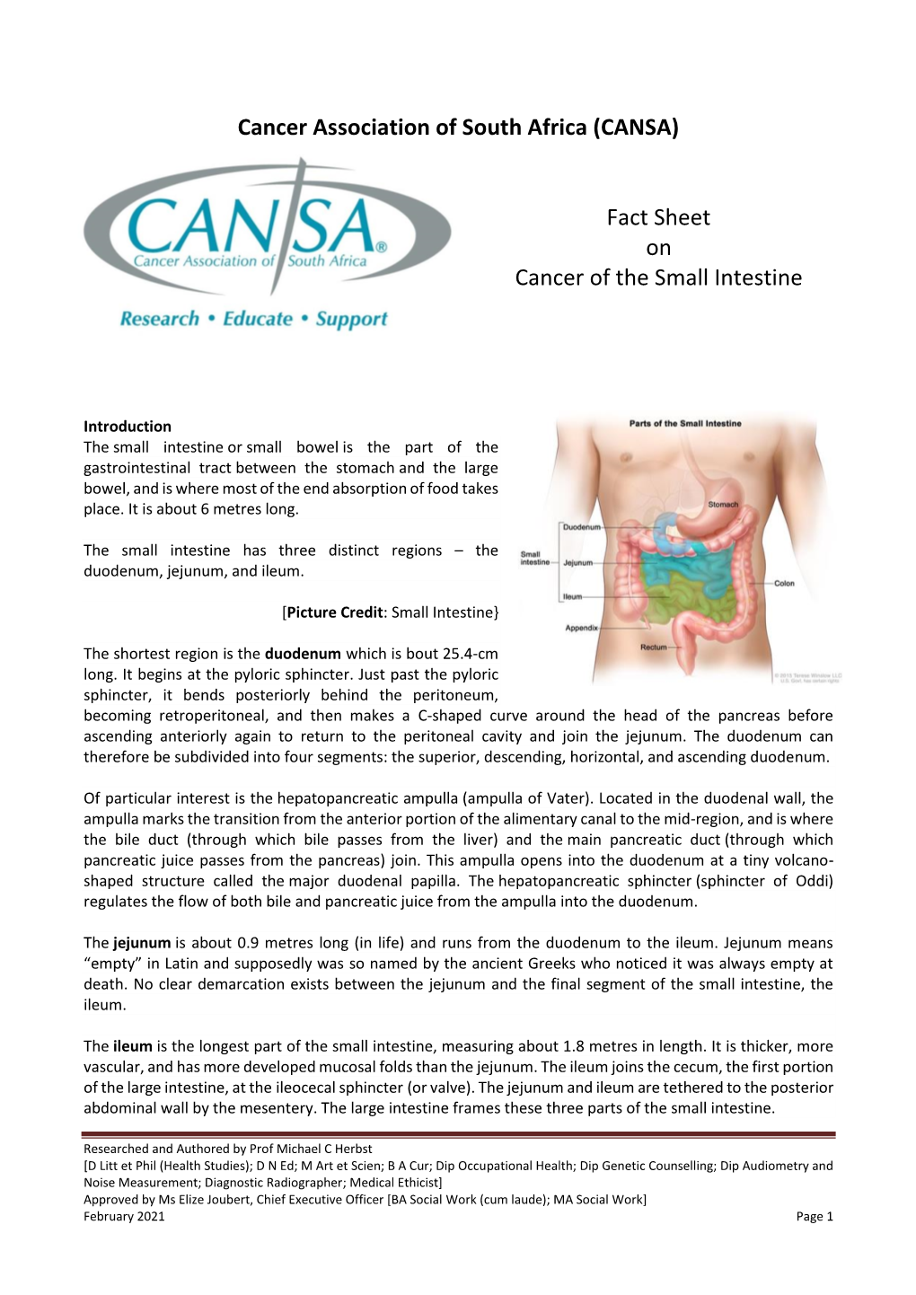 Cancer Association of South Africa (CANSA) Fact Sheet on Cancer of the Small Intestine