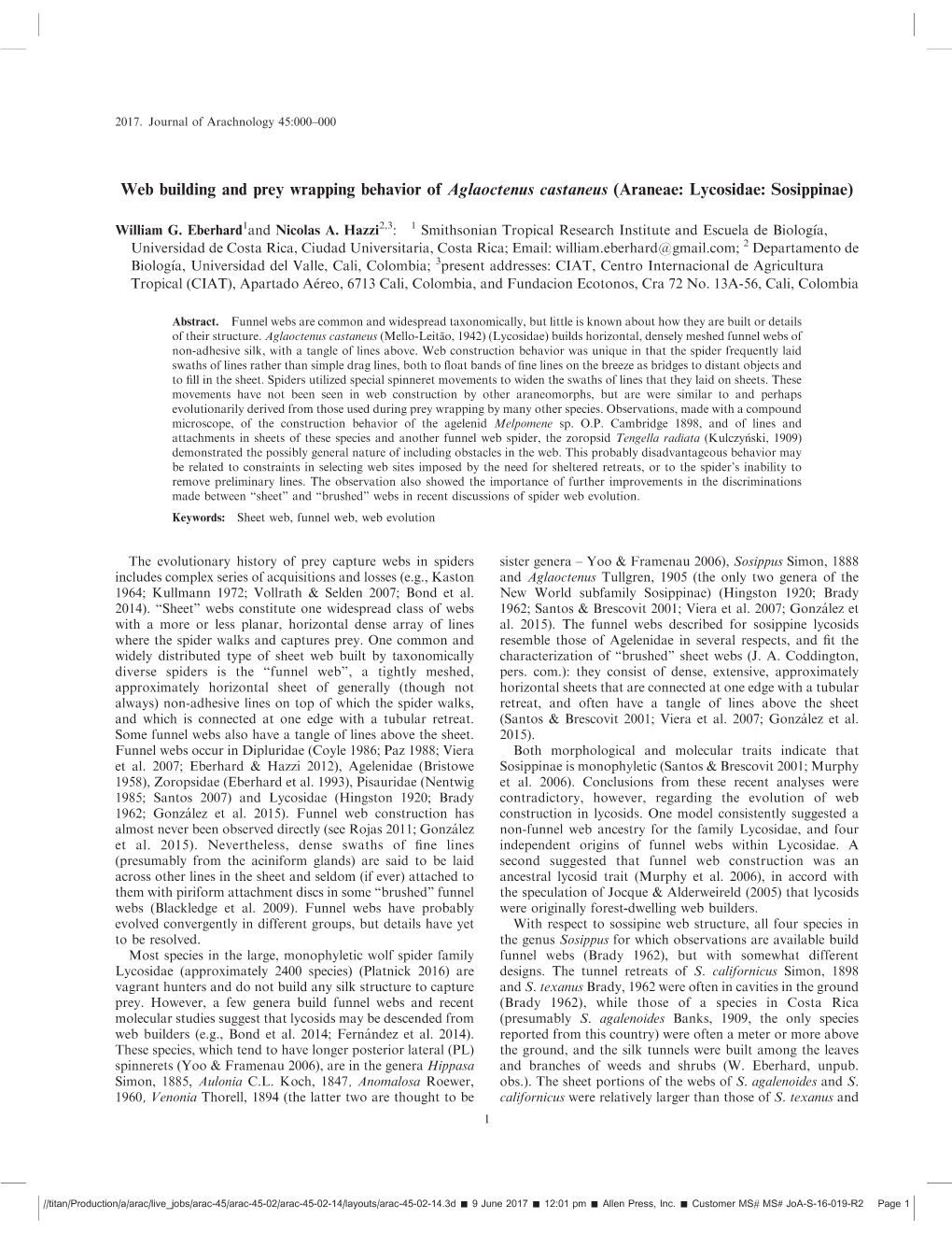 Web Building and Prey Wrapping Behavior of Aglaoctenus Castaneus (Araneae: Lycosidae: Sosippinae)