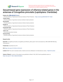 Sexual-Biased Gene Expression of Olfactory-Related Genes in the Antennae of Conogethes Pinicolalis (Lepidoptera: Crambidae)
