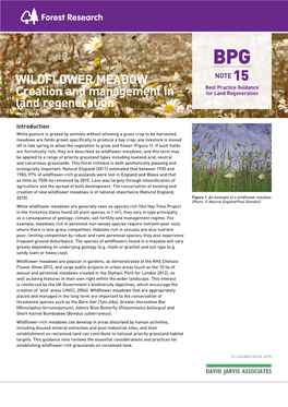 WILDFLOWER MEADOW Creation and Management in Land