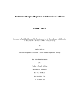 Mechanisms of Caspase-3 Regulation in the Execution of Cell Death