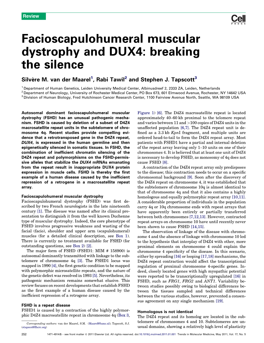 Facioscapulohumeral Muscular Dystrophy and DUX4: Breaking the Silence