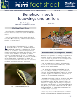 Lacewings and Antlions