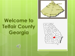 Welcome to Telfair County Georgia
