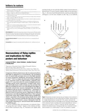 Neuroanatomy of Flying Reptiles and Implications for Flight, Posture and Behaviour