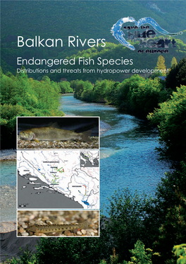Endangered Fish Species in Balkan Rivers: Their Distributions and Threats from Hydropower Development