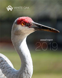 Annual Report 2019 2 3