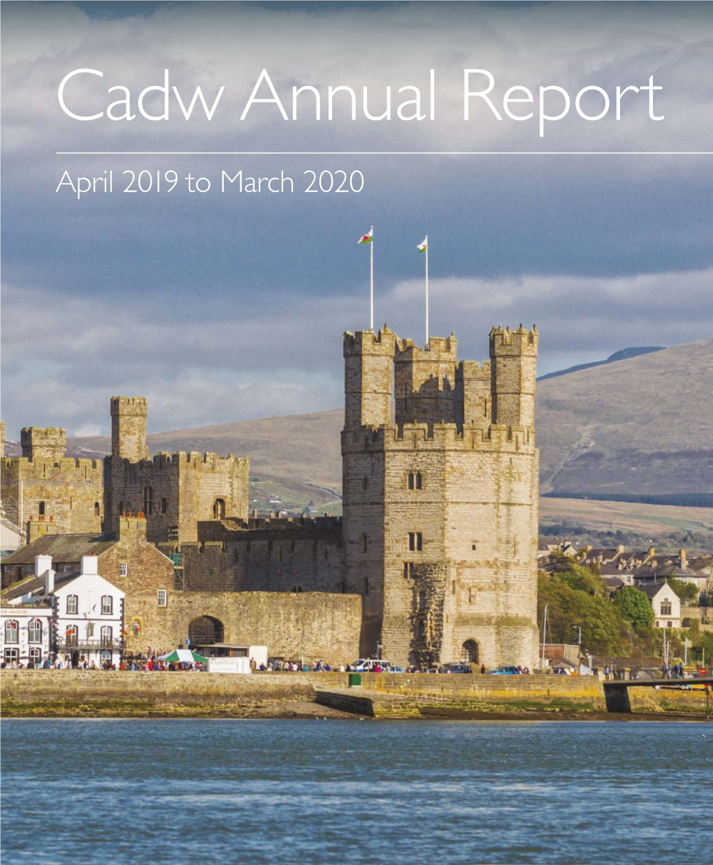 40941 Cadw Annual Report 2020