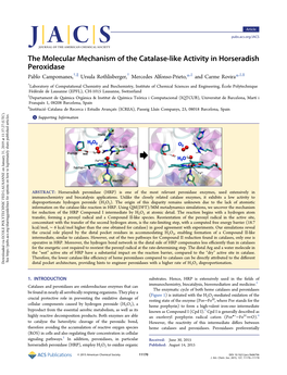 The Molecular Mechanism of the Catalase-Like Activity In