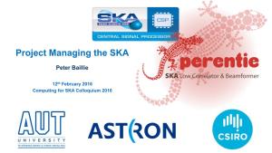 Project Managing the SKA