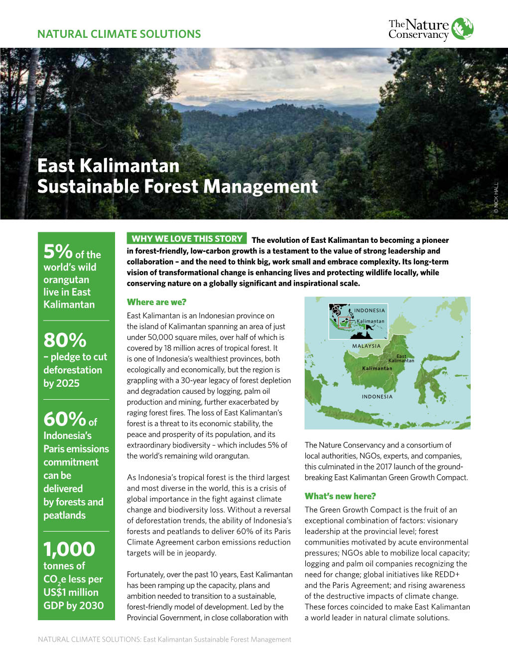 East Kalimantan Sustainable Forest Management © NICK HALL