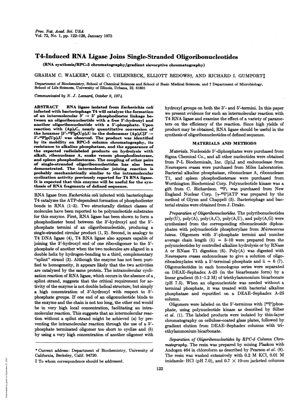 T4-Induced RNA Ligase Joins Single-Stranded Oligoribonucleotides (RNA Synthesis/RPC-5 Chromatography/Gradient Sievorptive Chromatography) GRAHAM C