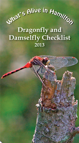 Dragonfly and Damselfly Checklist 2013 Date Or Location of Observation ABCD