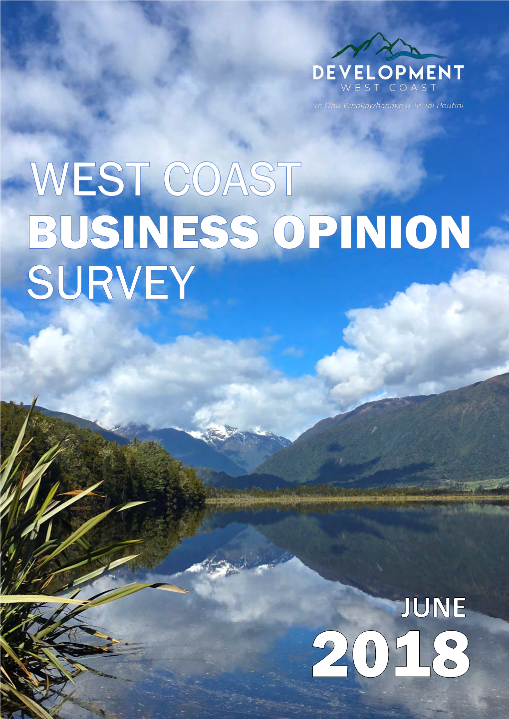 2018 West Coast Business Opinion Survey Contents Page
