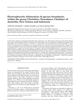 Testudines: Chelidae) of Australia, New Guinea and Indonesia