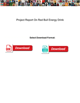 Project Report on Red Bull Energy Drink