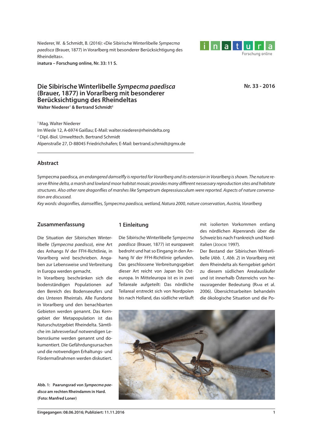 Die Sibirische Winterlibelle Sympecma Paedisca (Brauer, 1877) in Vorarlberg Mit Besonderer Berücksichtigung Des Rheindeltas»