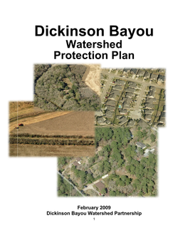 07-77817-02 Final Report Dickinson Bayou