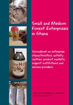 Small and Medium Forest Enterprises in Ghana