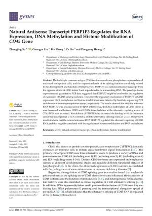 Natural Antisense Transcript PEBP1P3 Regulates the RNA Expression, DNA Methylation and Histone Modification of CD45 Gene