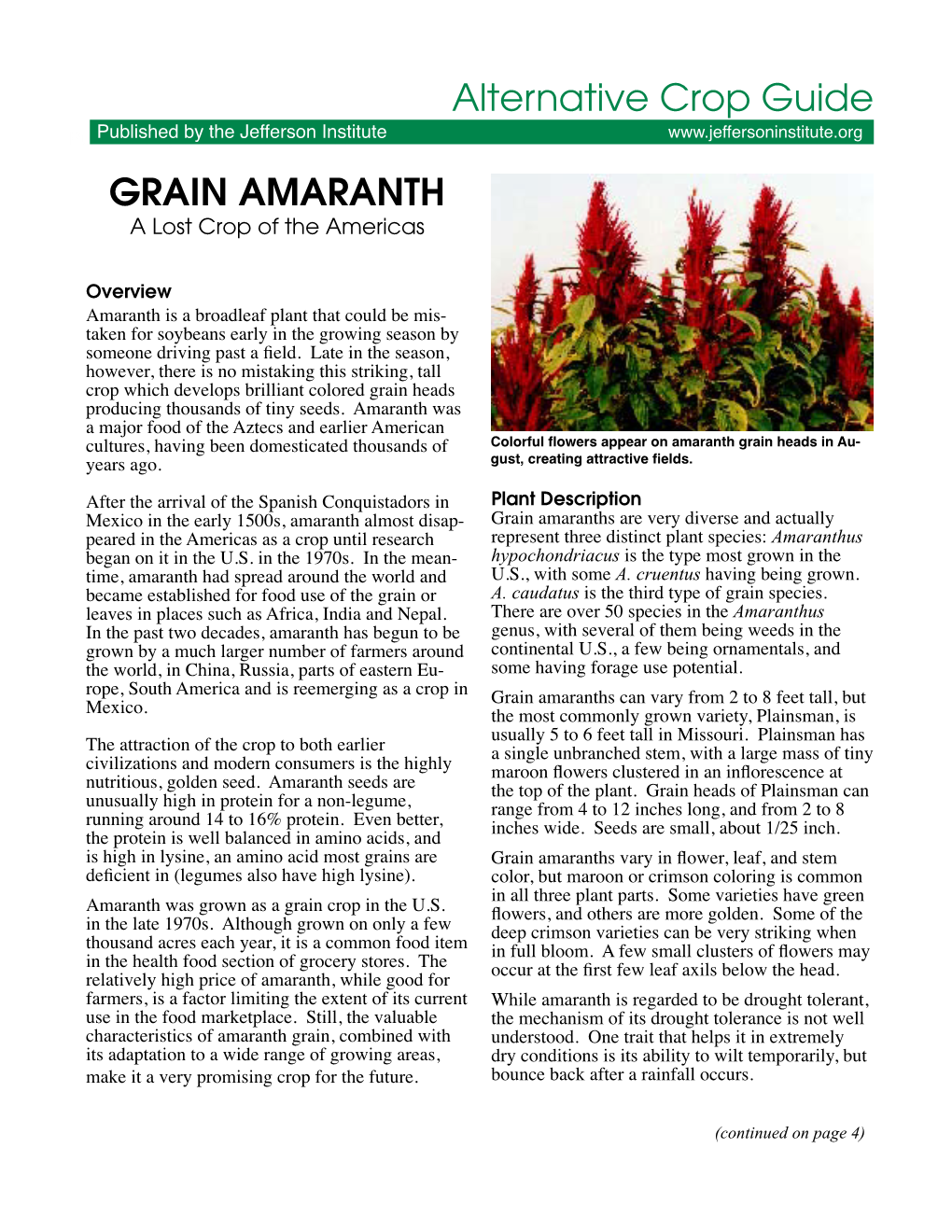 GRAIN AMARANTH Alternative Crop Guide