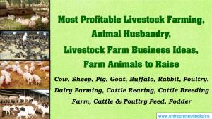 Most Profitable Livestock Farming, Animal Husbandry, Livestock Farm Business Ideas, Farm Animals to Raise