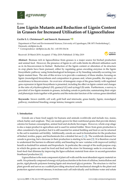 Low Lignin Mutants and Reduction of Lignin Content in Grasses for Increased Utilisation of Lignocellulose