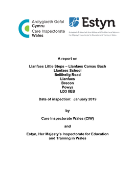 Inspection Report Llanfaes Steps 2019