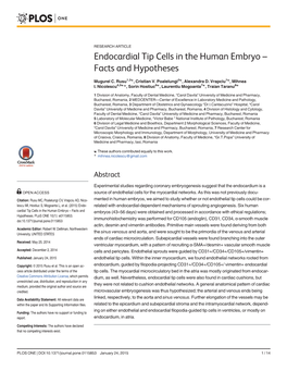 Endocardial Tip Cells in the Human Embryo – Facts and Hypotheses