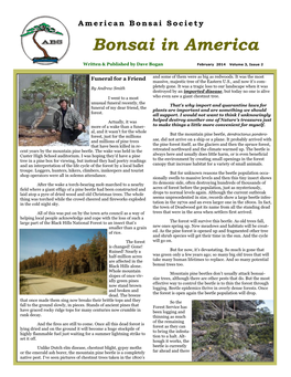 Bonsai in America