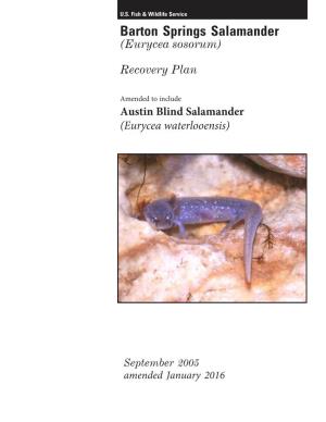 Barton Springs Salamander Recovery Plan Amended to Include the Austin Blind Salamander