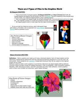 There Are 2 Types of Files in the Graphics World Bit Mapped (RASTER)