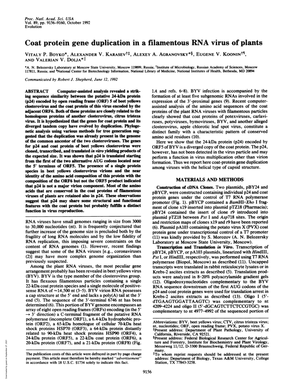 Coat Protein Gene Duplication in a Filamentous RNA Virus of Plants VITALY P