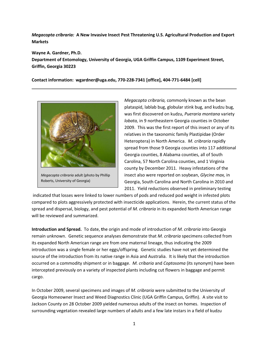 1 Megacopta Cribraria: a New Invasive Insect Pest Threatening U.S. Agricultural Production and Export Markets Wayne A. Gardner