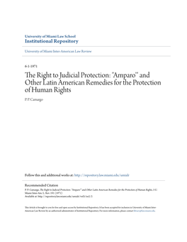 Amparo'" and Other Latin American Remedies for the Protection of Human Rights P