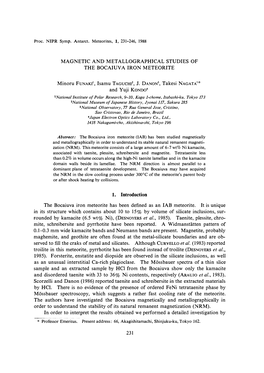Magnetic and Metallographical Studies of the Bocaiuv a Iron Meteorite