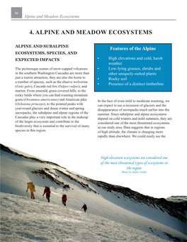 4. Alpine and Meadow Ecosystems