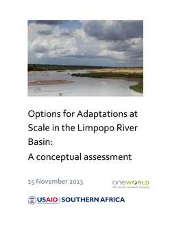 Options for Adaptations at Scale in the Limpopo River Basin: a Conceptual Assessment